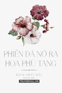 Phiến Đá Nở Ra Hoa Phù Tang